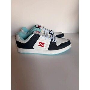 DC men’s shoes